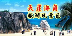 鸡巴插阴道的网站海南三亚-天崖海角旅游风景区